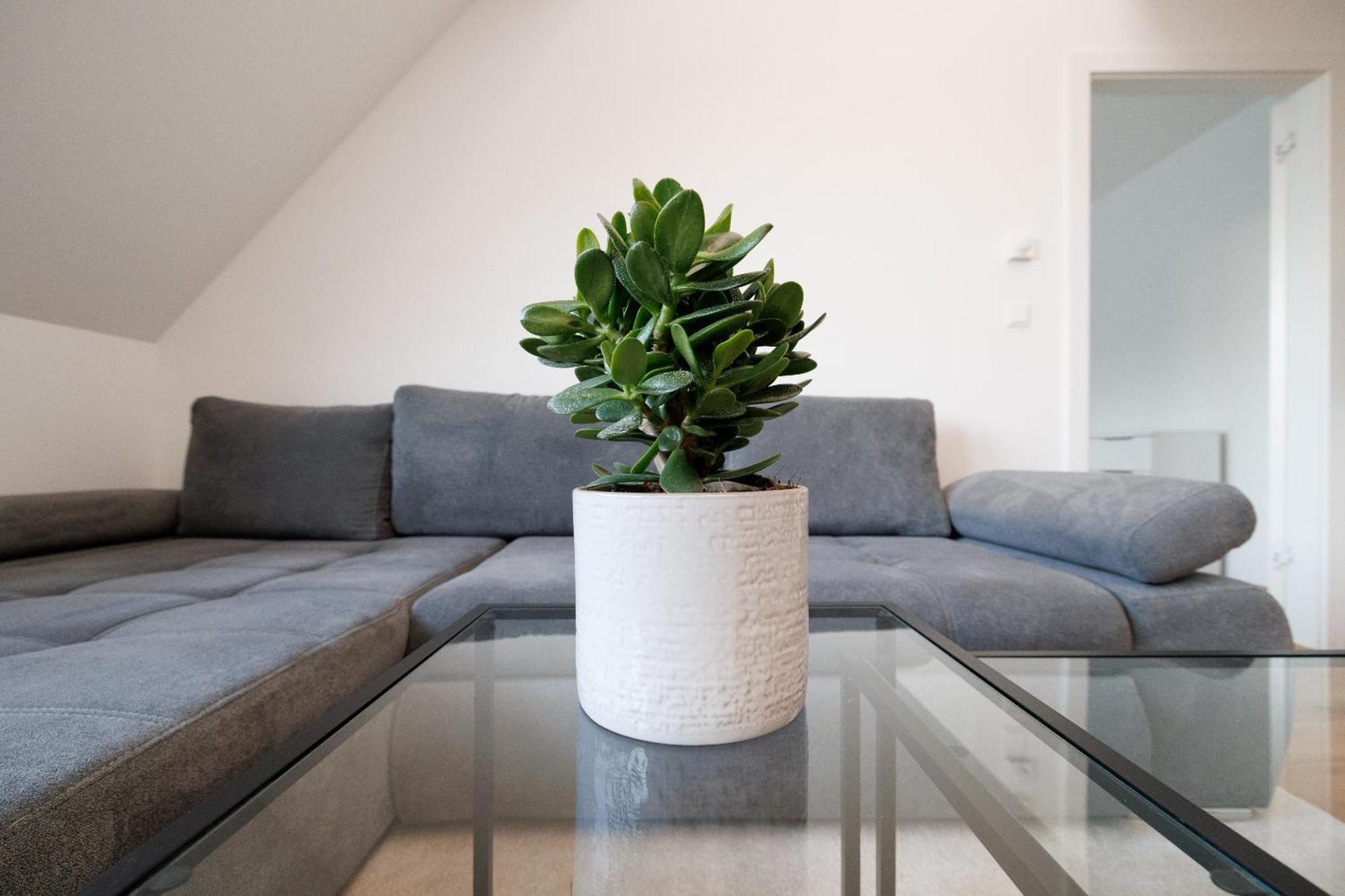 Symphony 41 - Modern Loft With Terrace And Grill In Location Apartment Wien