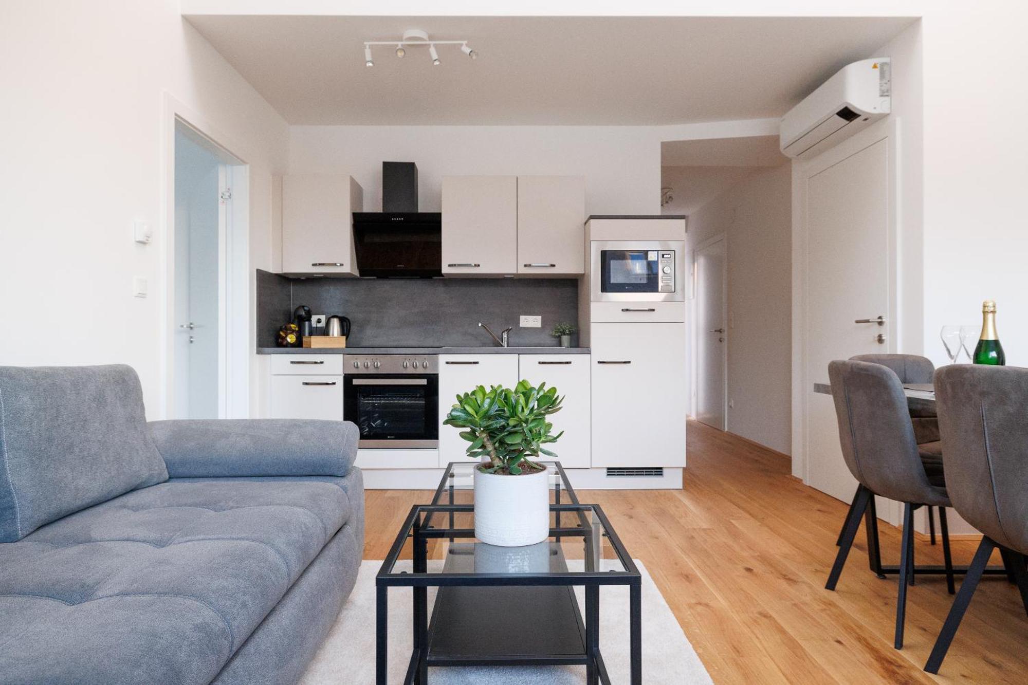 Apartment Symphony 41 - Modern Loft With Terrace And Grill In Location Wien
